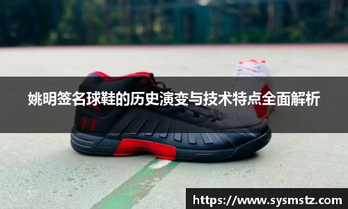 姚明签名球鞋的历史演变与技术特点全面解析
